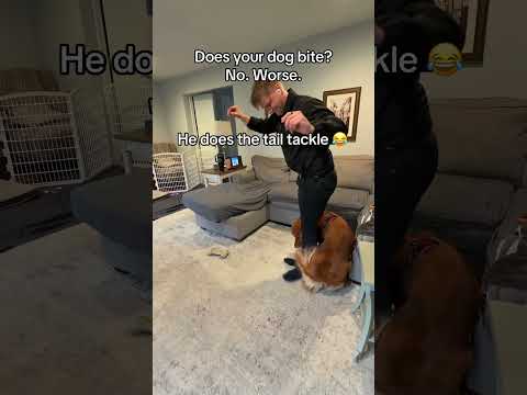 It’s fun until it works 🤕