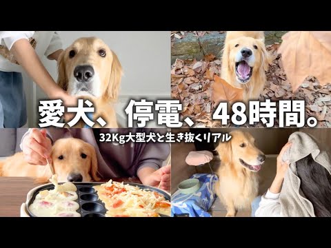 【実録】32キロの甘えん坊と過ごした、48時間停電の全記録。【Jackery 3600 Plus】 サムネイル