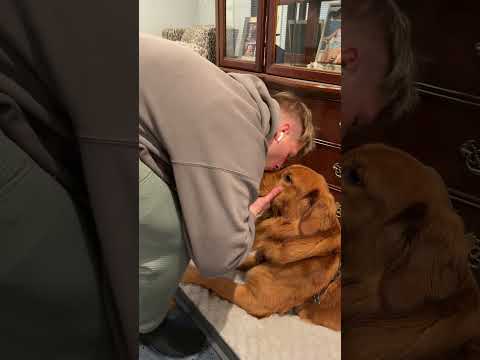 My smartest boy 😊 サムネイル