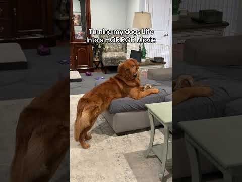 Sleeping with one eye open tonight 😳 サムネイル