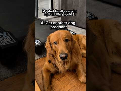 He went with all of the above 😅 サムネイル