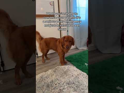 We literally just got back inside 5 seconds ago 😅 サムネイル