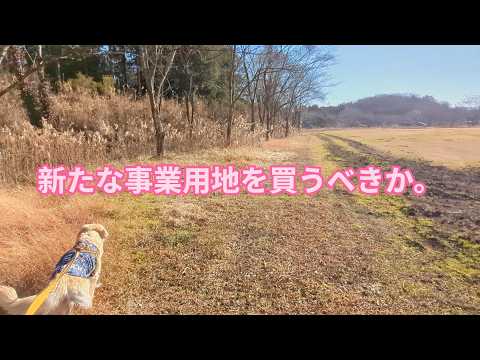 新たな計画地の可能性！ゴールデンレトリバーティト サムネイル