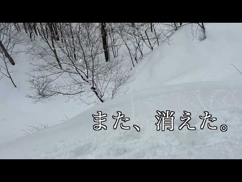 深雪の森で、また迷子になった。 サムネイル