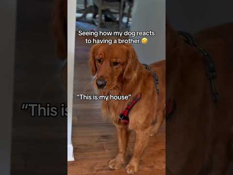 Is he a good brother?