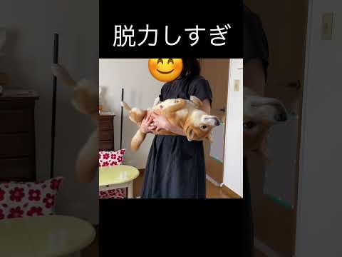 脱力しすぎ