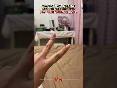 論主人對貓咪的了解程度有多深 剛開始我還有點疑惑後面服氣了 貓 萌寵 可愛 有趣 cat pets funny cut… サムネイル