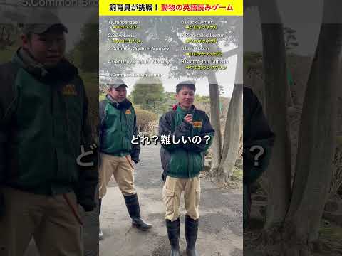 チームさるが挑戦！動物の英語読み！ サムネイル
