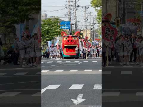shorts 山車行列の大獅子　酒田まつり　2026年5月20日