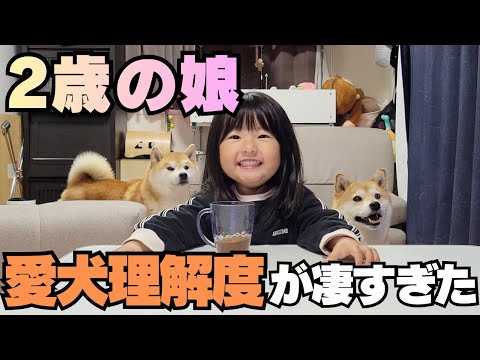生まれてから…ずっと柴犬と暮らす２歳娘は、愛犬をどれだけ知ってるのか？正解率に驚愕【Part2】 サムネイル