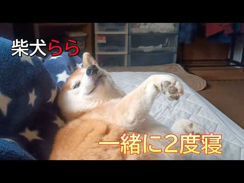 一緒に2度寝 サムネイル