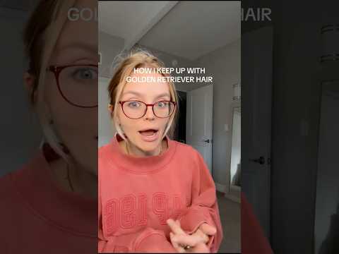 coming home to my golden retriever🥵goldenretreivers dog pup… サムネイル