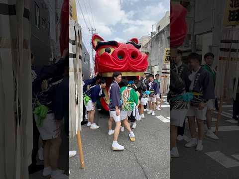 shorts 酒田大獅子　日和　獅子パックン　酒田まつり サムネイル