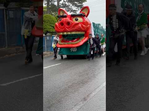 shorts 獅子パックン　桜🌸　酒田大獅子　酒田まつり サムネイル