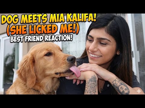 Bikini Try-On Haul :| 4K Transparent Lingerie & See-Through… サムネイル