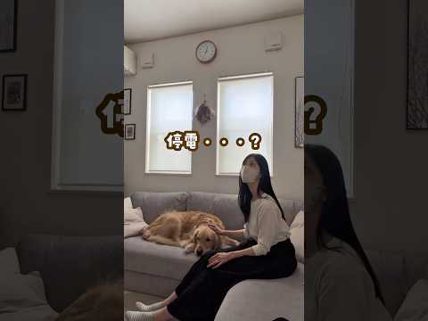 もしもの停電でも家族も大型犬も安心BLUETTI AORA100V2 Sora220 アオラポータブル電源