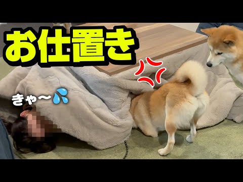 グータラ娘にお仕置きしてくれる柴犬が可愛い サムネイル