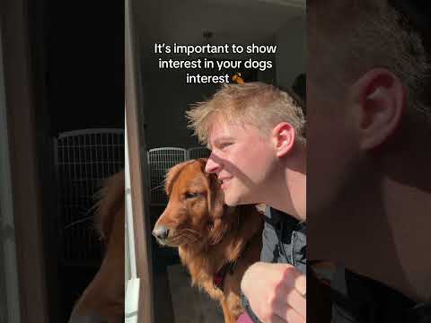 Bonding time with your dog is a necessity 👌😔 サムネイル