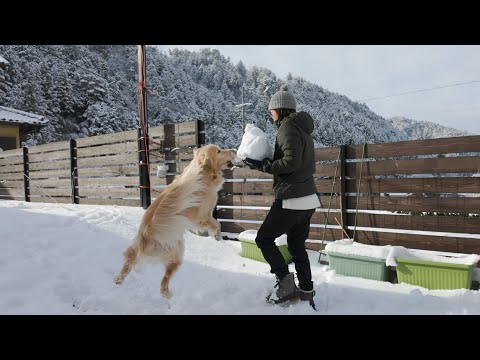 今年初の雪遊びは雪だるまに放尿されて運固を踏んでニンジンを食べれました サムネイル