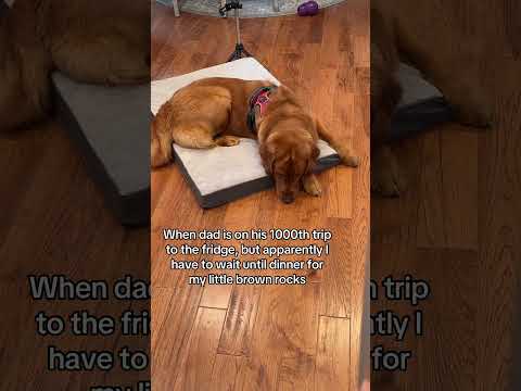 Would this work on you? サムネイル