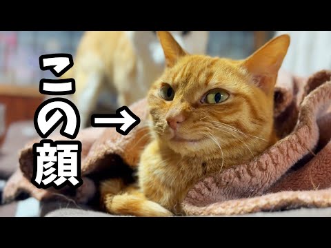 どういう心境？　What Was That Look? サムネイル