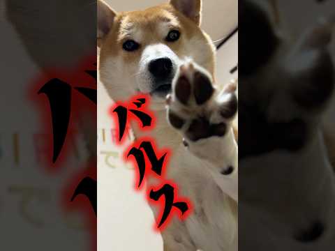 ムスカ大佐の後継者 サムネイル