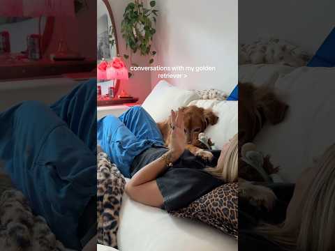 conversations with my golden retriever🥺goldenretreivers dog… サムネイル