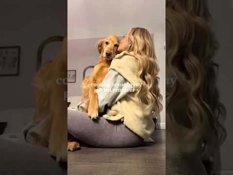 coming home to my golden retriever🥵 goldenretreiver dog ind… サムネイル