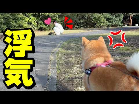 初めて娘の浮気現場を目撃してしまった柴犬姉妹… サムネイル