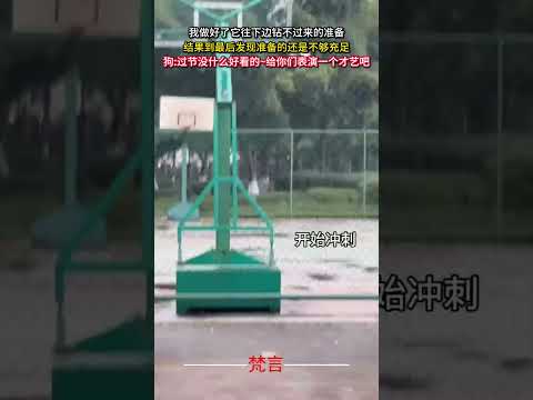 我做好了它往下邊鑽不過來的準備 結果到最後發現準備的還是不夠充足 狗狗 意外 萬萬沒想到 萌寵 pets amazin… サムネイル