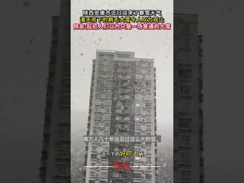 陝西安康市近日迎來了暴雪天氣 漫天而下的鵝毛大雪令人嘆為觀止 雪 神奇 大自然 snow amazing nature… サムネイル