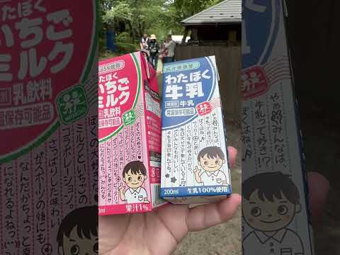 shorts ミルクフェアで牛乳といちごミルク🐮　埼玉県こども動物自然公園にて　2026年5月31日 サムネイル