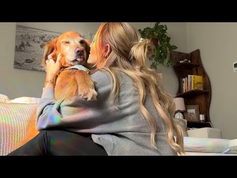 4K Transparent Try-On Haul In this stylish 2026 lookbook we… サムネイル