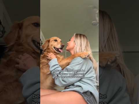 coming home to my golden retriever🥵 goldenretreiver dog ind… サムネイル