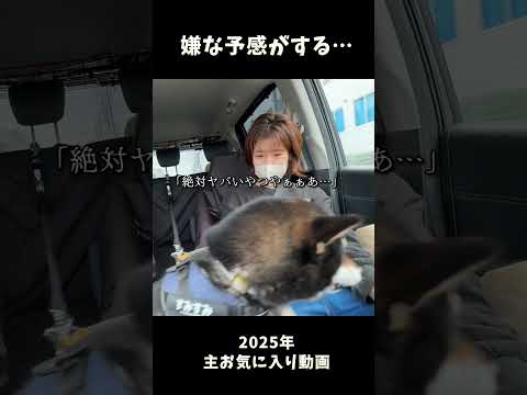 嫌な予感がする_主お気に入りセレクション サムネイル