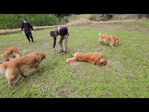 イロハ誕生日の散歩は同じく誕生日のまひる君と一緒に山歩き。 サムネイル