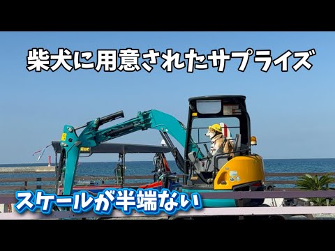 【サプライズ】柴犬の為に巨大ユンボを手配してもらった結果凄い事になりました… サムネイル