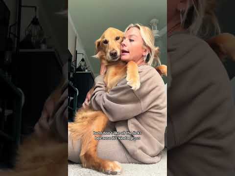 coming home to my golden retriever🥵 goldenretreiver dog ind… サムネイル