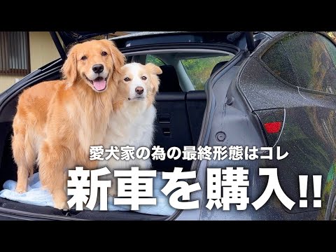 愛犬の為の機能が揃った車を購入しました!!【ゴールデンレトリバー・ボーダーコリー】 サムネイル