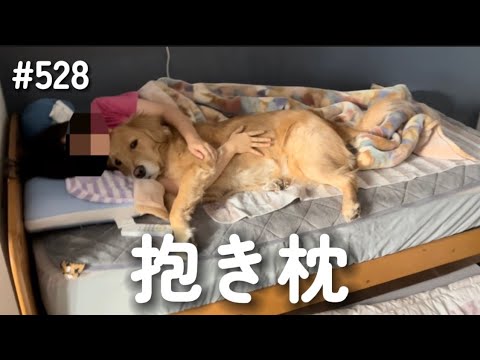 モンちゃん抱き枕【ゴールデンレトリバー】 サムネイル