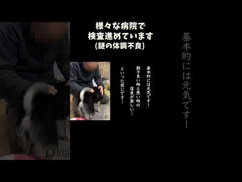 様々な病院で検査進めています サムネイル