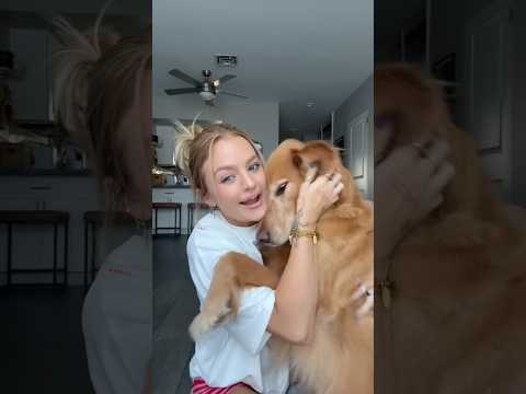 coming home to my golden retriever🥵 goldenretreiver dog ind… サムネイル