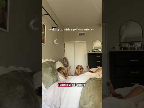 coming home to my golden retriever🥵 goldenretreiver dog ind… サムネイル