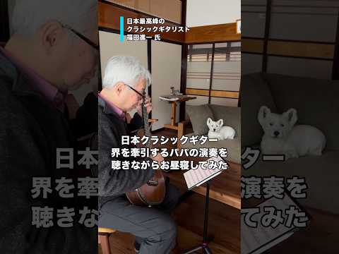 外務大臣表彰など権威ある賞を数多く受賞したお父さんの優しい音色を聴きながらお昼寝してみた ウエストハイランドホワイトテ…