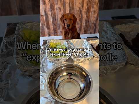 Is this accurate? サムネイル