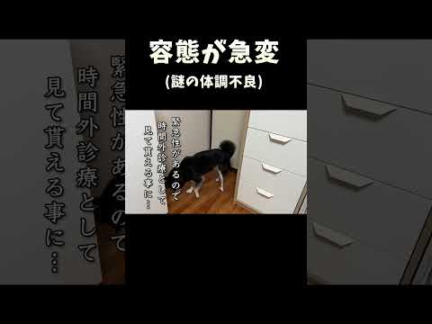 容態が急変 サムネイル