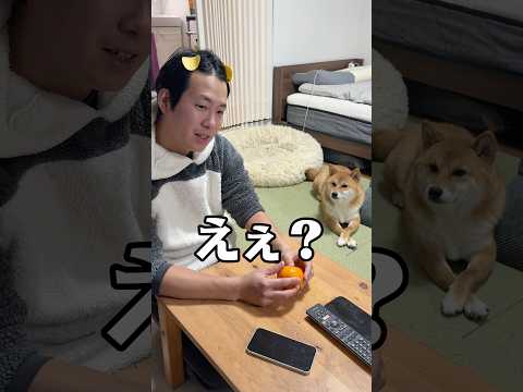 あげたい気持ちは山々なのよ　柴犬 shorts サムネイル