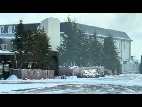 風が吹くと地吹雪に〜　那須どうぶつ王国駐車場にて　2026年1月30日 サムネイル