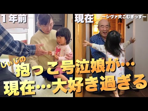 じぃじを見るだけで号泣した娘。１年後…じぃじ愛の仕上がりが凄い事に サムネイル