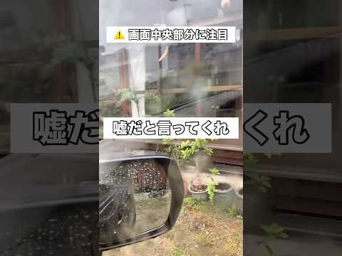 ついさっきまであんなに切ない顔してたのに車のエンジンかけた瞬間に室内を3周し始めた犬。多分見間違いだよな。 柴犬 柴犬… サムネイル